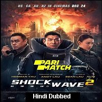 Shock Wave 2 (2020) Hindi Dubbed Full Movie Watch Online Free Download