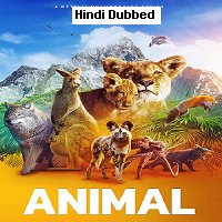 Animal (2022) Hindi Dubbed Season 2 Complete Watch Online HD Print Free Download